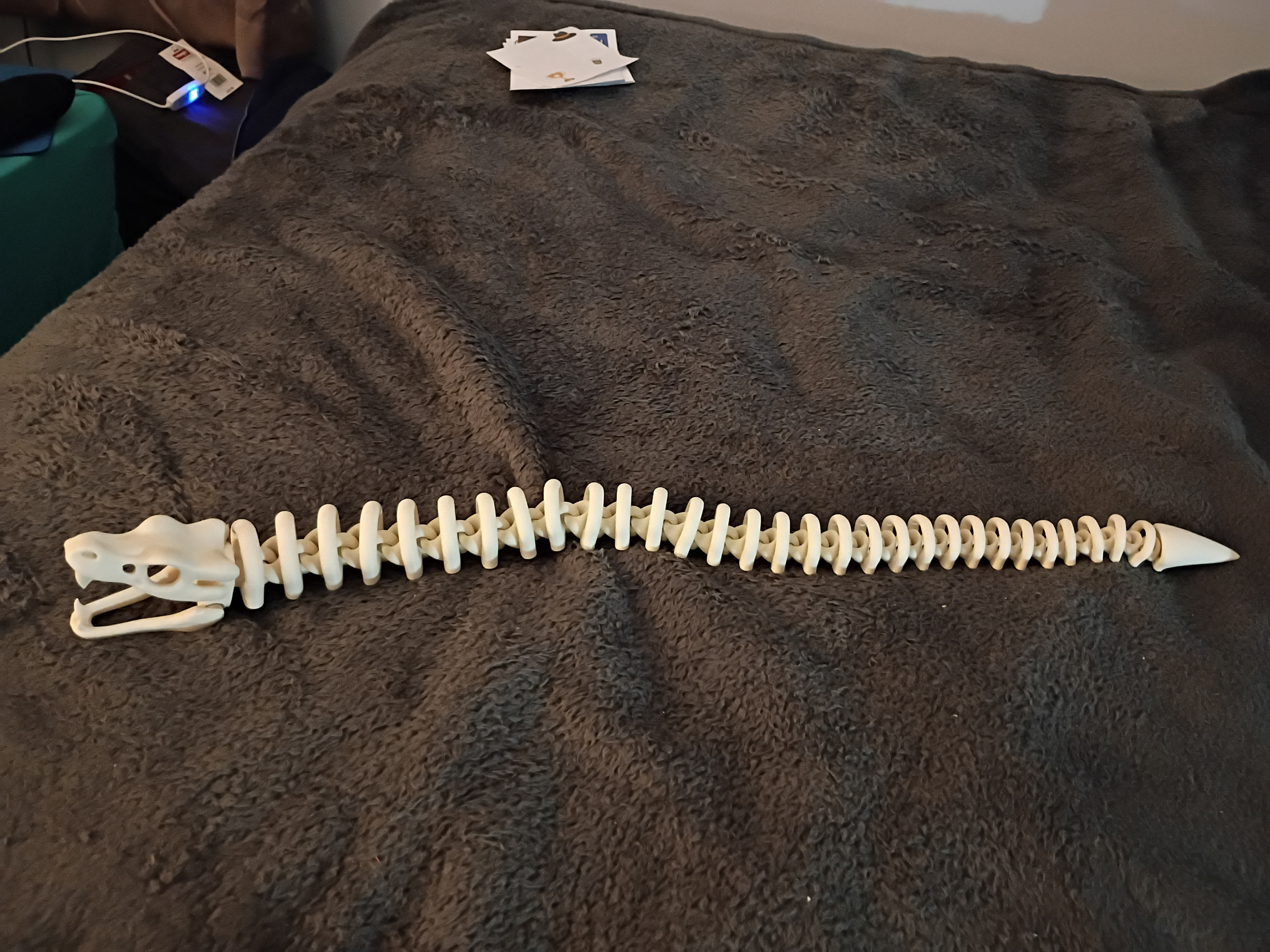 Articulated 3D-printed dragon skeleton