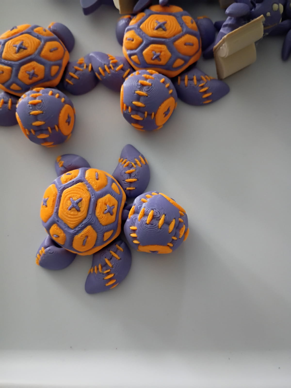 Geometric Turtle Fidgets